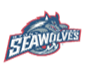Stony Brook Seahawkes